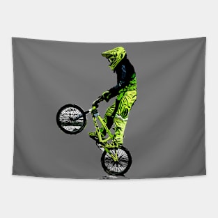 bmx Tapestry