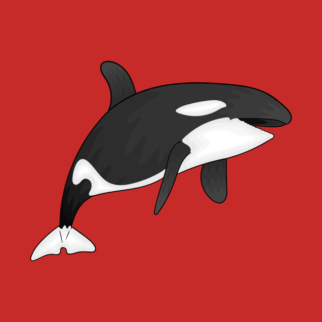 Killer whale cartoon illustration by Cartoons of fun
