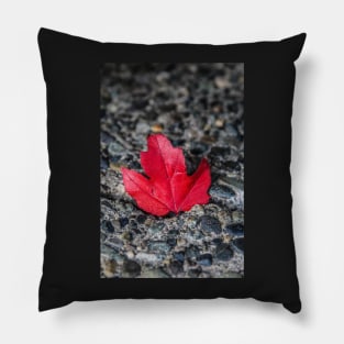 Red leaf Pillow