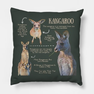 Animal Facts - Kangaroo Pillow