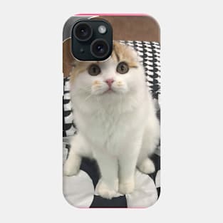 The little cute cats fold Phone Case