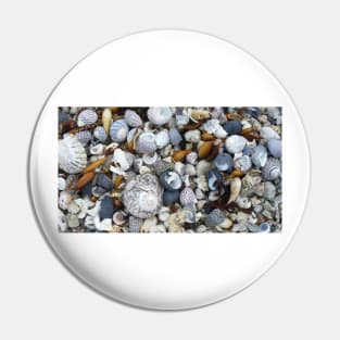 Seashell Beach Pin