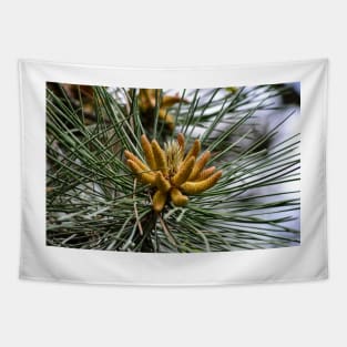 Baby Pine Cones Tapestry