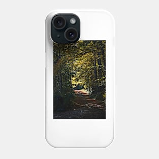 Autumn Driveway Phone Case