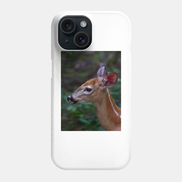 Fawn - White-tailed Deer Phone Case by Jim Cumming