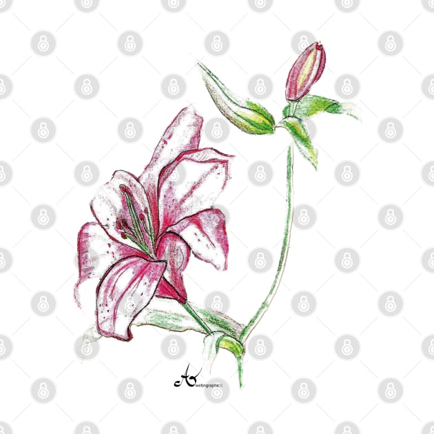 Beautifully painted pink Lily Flower by Symbolsandsigns