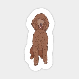 Chocolate Standard Poodle Magnet