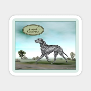 Scottish Deerhound. Magnet