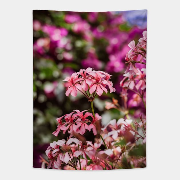 Pink Flowers Tapestry by RenataCacaoPhotography