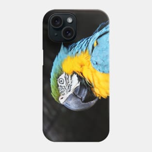 Parrot Phone Case