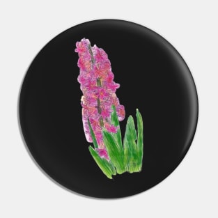 Pink, Purple Hyacinth Botanical Drawing Pin