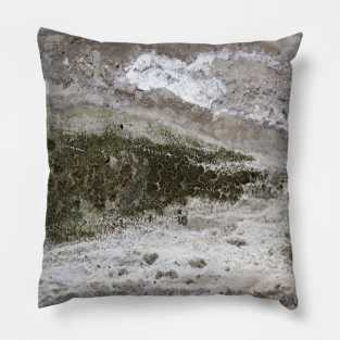 A mossy wall Pillow