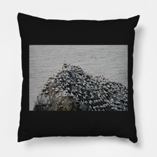 Gannets galore Pillow