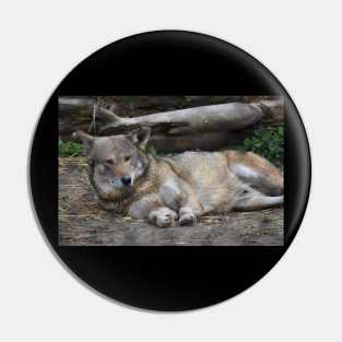 Red Wolf Pin