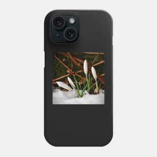 Crocus Phone Case