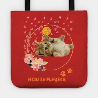 Who is enjoying playtime with my pretty cat? Tote