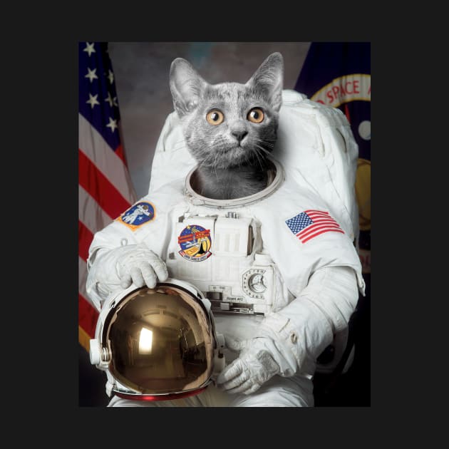 Cmdr. Charlie Leroy, Cat Astronaut by happyartresult