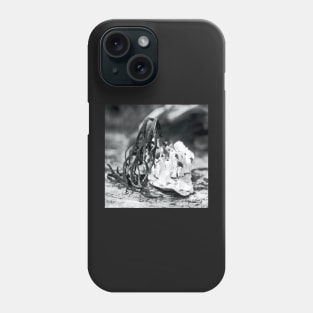 Sea shelf with weed Phone Case