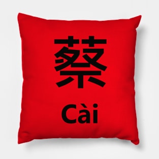 Chinese Surname Cài Pillow