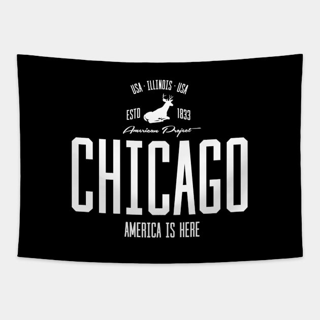 USA, America, Chicago, Illinois Tapestry by NEFT PROJECT
