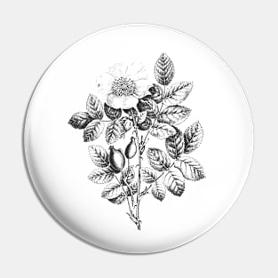 Wild Rose Flower Black & White Illustration Pin