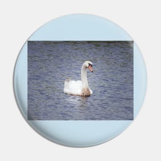 Mute Swan, Wild Birds, Wildlife Gifts Pin