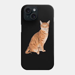 The Orange Cat Phone Case