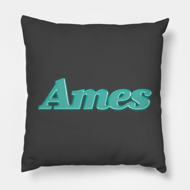 Ames Department Store Pillow by carcinojen