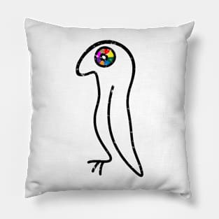 Rainbow Ayes Pillow