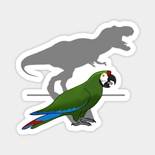 T-rex Military Macaw Magnet