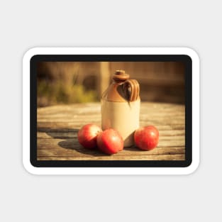 Summer Cider - Still Life - 2014 Magnet