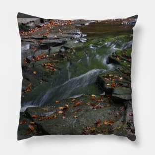 Stream Pillow