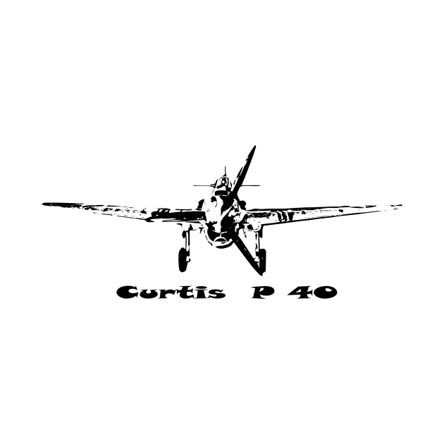 Fighter Curtis P 40 by Hujer