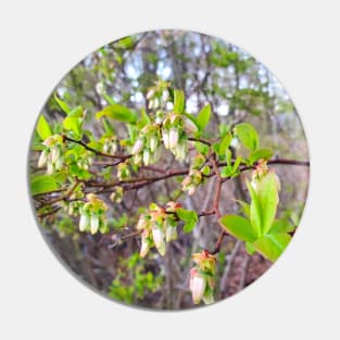 Blueberry Flowers Pin