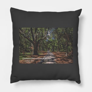 Cumberland Island National Seashore, Georgia Pillow