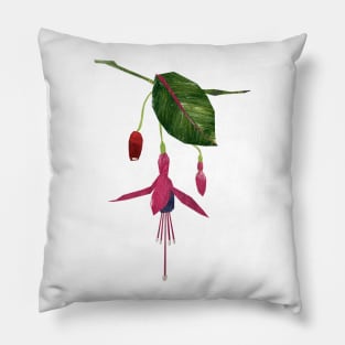 Fuchsia Pillow