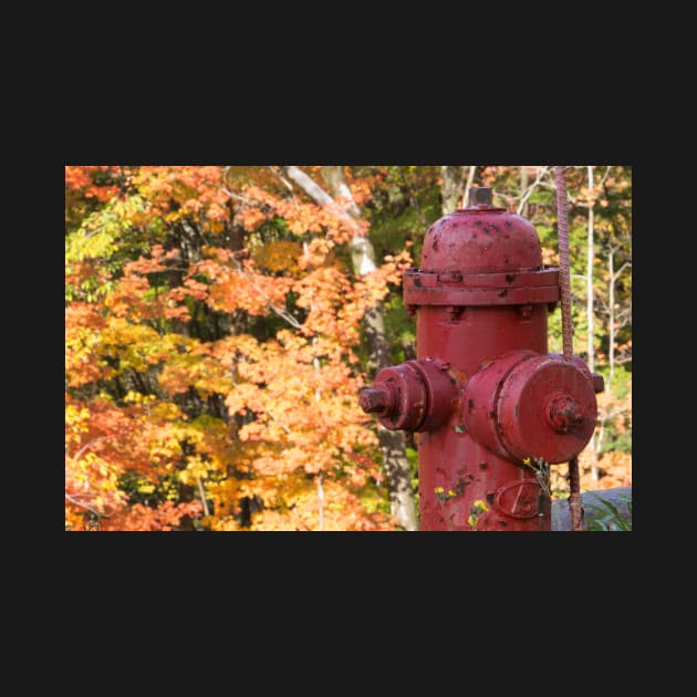 fire hydrant by sma1050