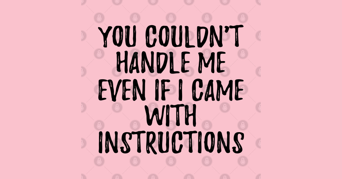 you couldn't handle me even if i came with instructions You Cant