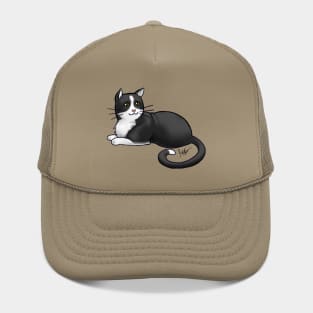 Cat - American Shorthair - Tuxedo Hat