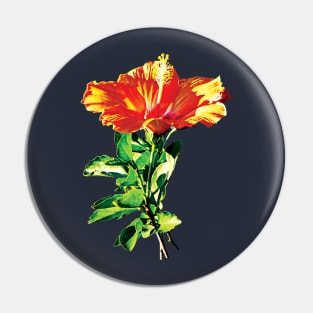 Hibiscus - Orange Hibiscus Pin