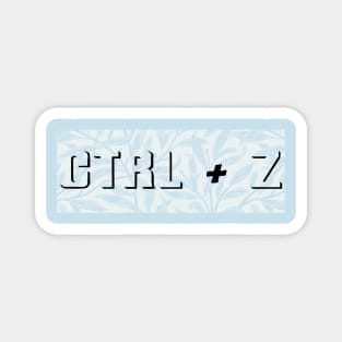 Ctrl + Z Magnet