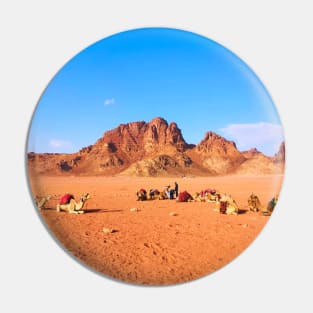 Camels in Desert Pin