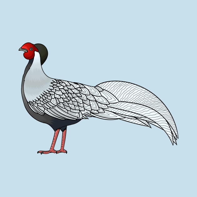 Silver pheasant bird cartoon illustration by Cartoons of fun
