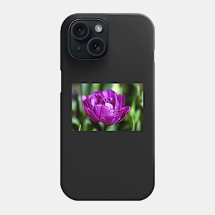 Dewdrops on a purple tulip Phone Case