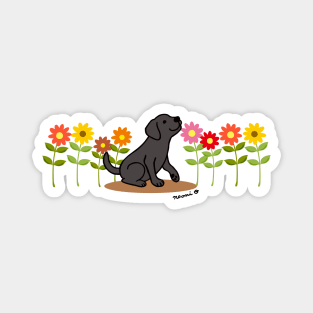 Black Labrador and Flowers Magnet