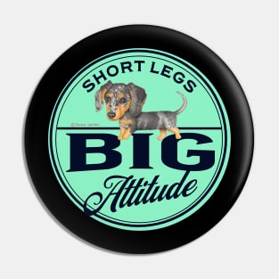 Dachshund-Short Legs, Big Attitude Pin