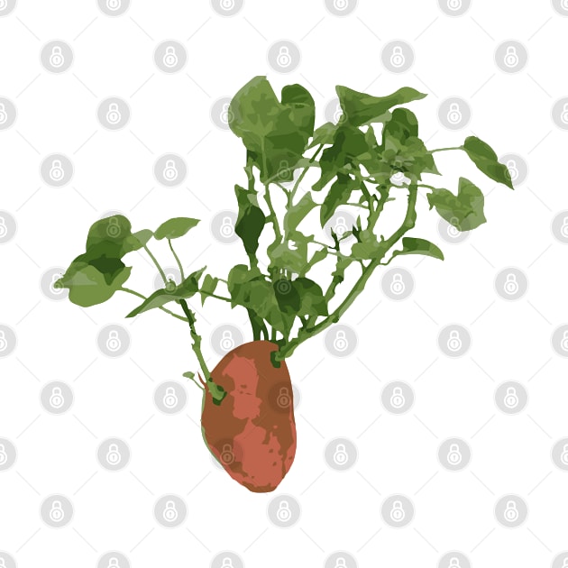 Classic Sweet Potato and Vine for Plant Lover by cricky