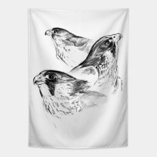 Three Peregrines Art Sketch Tapestry