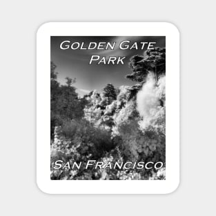 Strybing Arboretum, Golden Gate Park, San Francisco Magnet