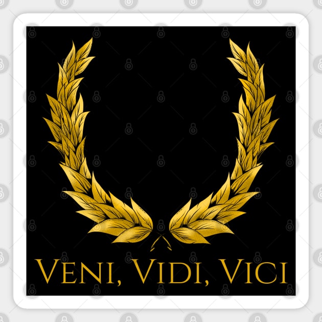 Veni Vidi Vici Quote -  Sweden